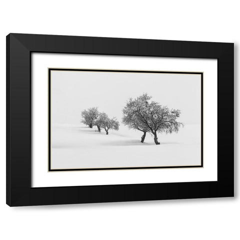White Carpet Ii Black Modern Wood Framed Art Print with Double Matting by Carrillo Lopez, Antonio