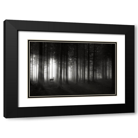 Deer`S Morning Black Modern Wood Framed Art Print with Double Matting by Hessel, Christoph