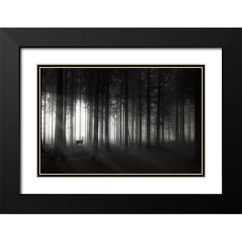 Deer`S Morning Black Modern Wood Framed Art Print with Double Matting by Hessel, Christoph