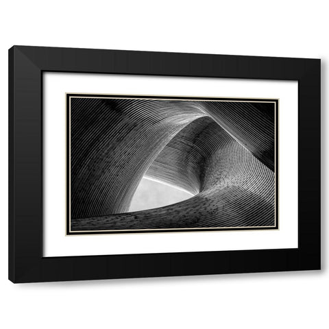 Entwined Black Modern Wood Framed Art Print with Double Matting by Pfeiffer, Peter
