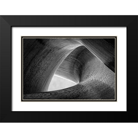 Entwined Black Modern Wood Framed Art Print with Double Matting by Pfeiffer, Peter