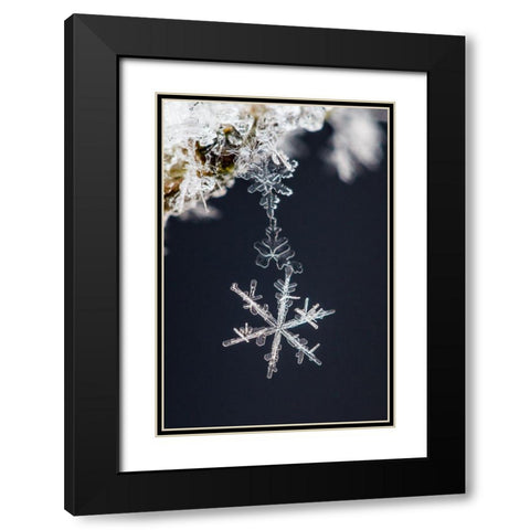 Pendant Black Modern Wood Framed Art Print with Double Matting by Ritoniemi, Sami