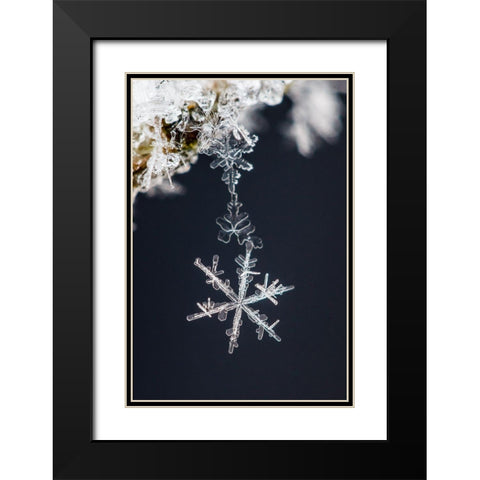 Pendant Black Modern Wood Framed Art Print with Double Matting by Ritoniemi, Sami