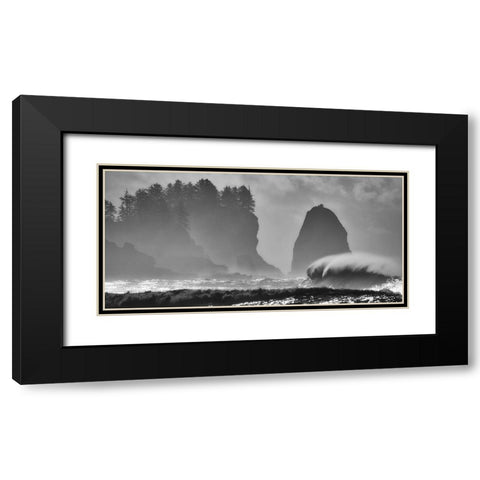 F U R Y Black Modern Wood Framed Art Print with Double Matting by Turgeon, Alain