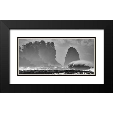 F U R Y Black Modern Wood Framed Art Print with Double Matting by Turgeon, Alain