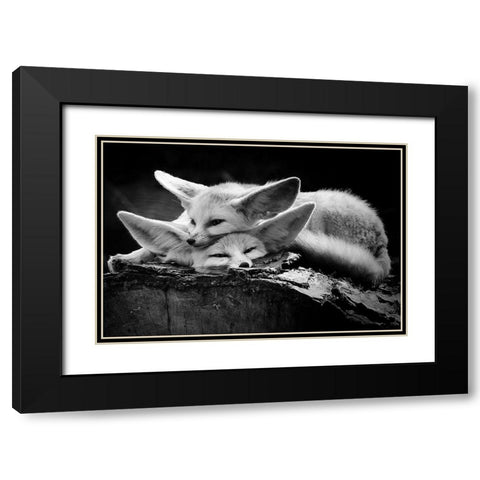 The Happy Couple Black Modern Wood Framed Art Print with Double Matting by Ross Rossi, Ib