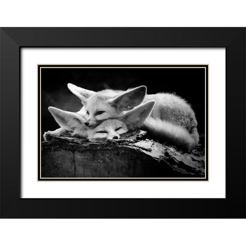 The Happy Couple Black Modern Wood Framed Art Print with Double Matting by Ross Rossi, Ib