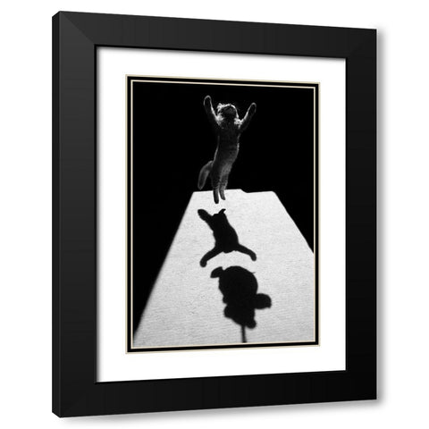 Edgar The Great Black Modern Wood Framed Art Print with Double Matting by Kravanja, Jure
