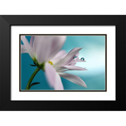 In Turquoise Company Black Modern Wood Framed Art Print with Double Matting by Westum, Heidi