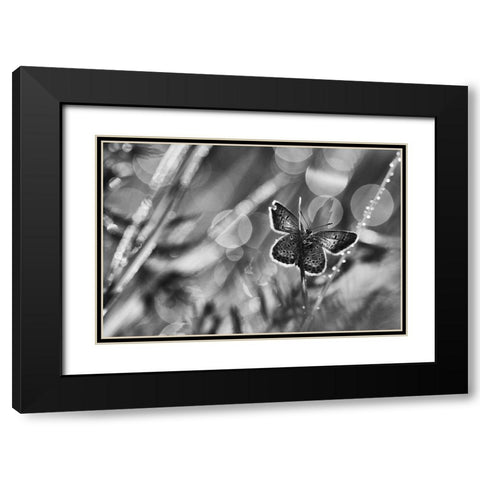 ...After The Rain... Black Modern Wood Framed Art Print with Double Matting by Gerec, Pali