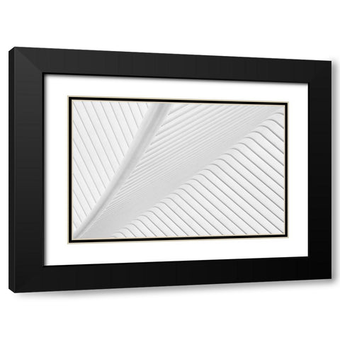 Canopy. Black Modern Wood Framed Art Print with Double Matting by Van Son, Greetje