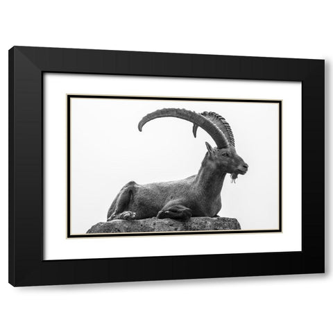 Resting Black Modern Wood Framed Art Print with Double Matting by Graf, Sebastian