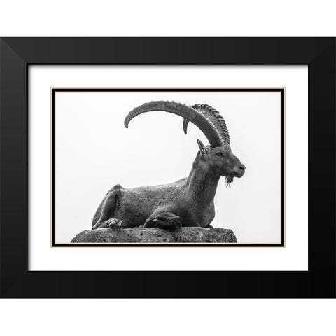 Resting Black Modern Wood Framed Art Print with Double Matting by Graf, Sebastian