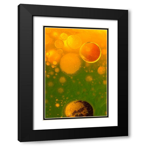 Spring Fantasy Black Modern Wood Framed Art Print with Double Matting by Bosogea-Tudor, Ileana