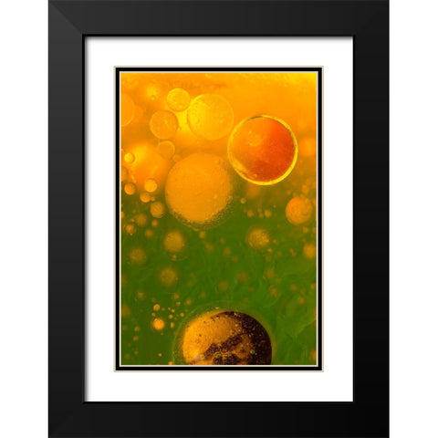 Spring Fantasy Black Modern Wood Framed Art Print with Double Matting by Bosogea-Tudor, Ileana