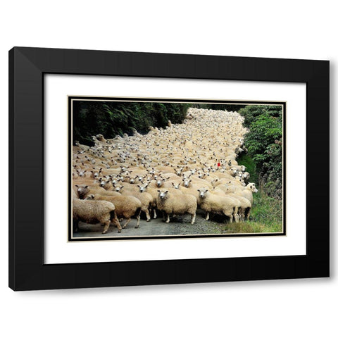 New Zealand Traffic Jam Black Modern Wood Framed Art Print with Double Matting by Tzur, Yair
