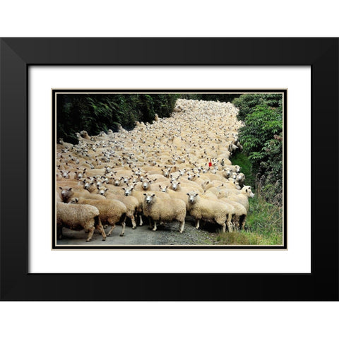 New Zealand Traffic Jam Black Modern Wood Framed Art Print with Double Matting by Tzur, Yair