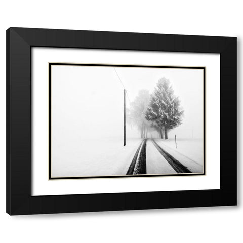 White Tree Gate Black Modern Wood Framed Art Print with Double Matting by Bogner, Franz
