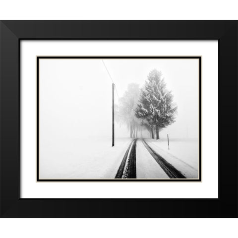 White Tree Gate Black Modern Wood Framed Art Print with Double Matting by Bogner, Franz