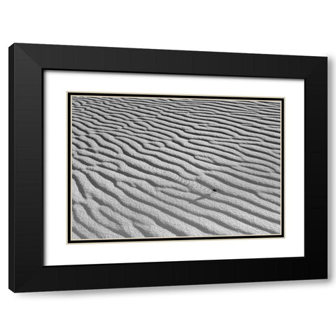 The Long Journey Black Modern Wood Framed Art Print with Double Matting by Skilbeck, Christian