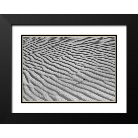 The Long Journey Black Modern Wood Framed Art Print with Double Matting by Skilbeck, Christian