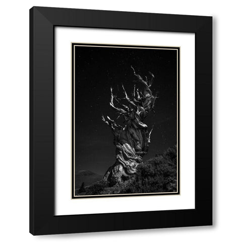 Grand-Grand-Grand-Pas Tree Black Modern Wood Framed Art Print with Double Matting by Chenglu, Simon