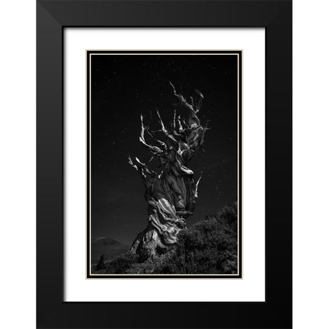 Grand-Grand-Grand-Pas Tree Black Modern Wood Framed Art Print with Double Matting by Chenglu, Simon