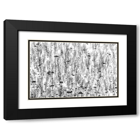 Little Trees Black Modern Wood Framed Art Print with Double Matting by Ghesquiere, Hilde