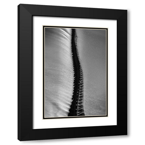 Scorpio Rising Black Modern Wood Framed Art Print with Double Matting by Abrantes, Paulo