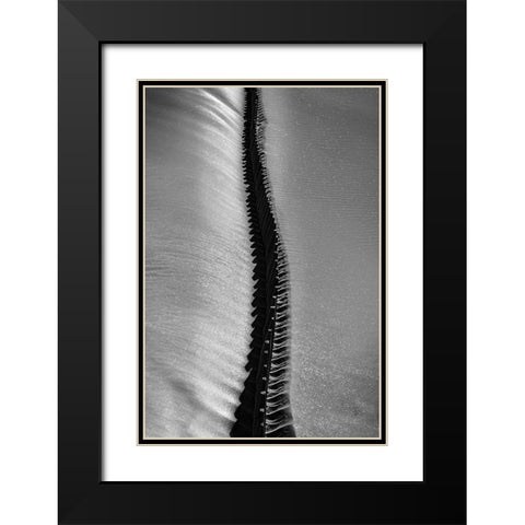 Scorpio Rising Black Modern Wood Framed Art Print with Double Matting by Abrantes, Paulo