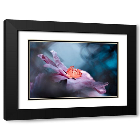 Even Flowers Have Stories To Tell Black Modern Wood Framed Art Print with Double Matting by BRAVIN, Fabien