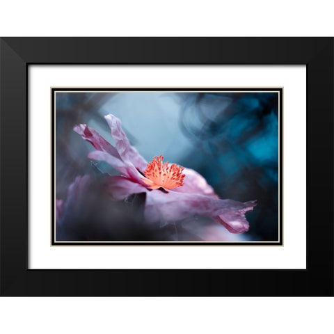 Even Flowers Have Stories To Tell Black Modern Wood Framed Art Print with Double Matting by BRAVIN, Fabien