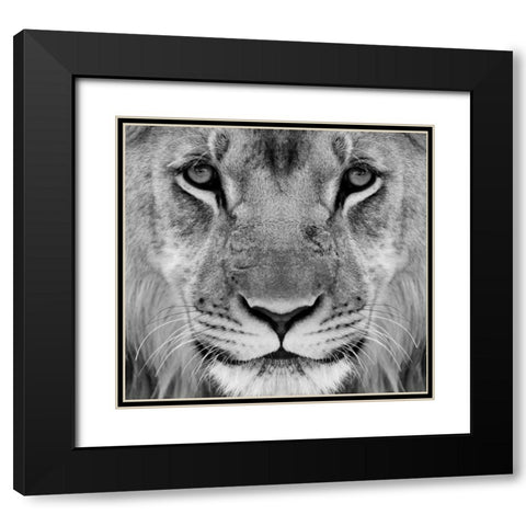 My-What Big Thighs You Have ! Black Modern Wood Framed Art Print with Double Matting by Pearson, Wayne