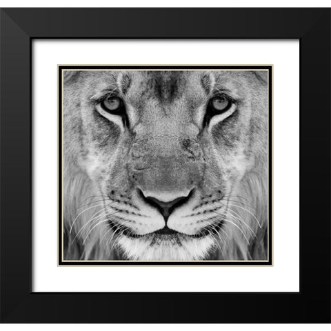 My-What Big Thighs You Have ! Black Modern Wood Framed Art Print with Double Matting by Pearson, Wayne
