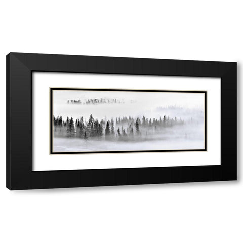 Foggy Forest Black Modern Wood Framed Art Print with Double Matting by Xu, Mei