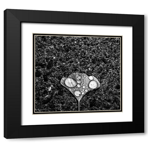 Dew Black Modern Wood Framed Art Print with Double Matting by Wang, Jian