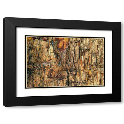Bark Black Modern Wood Framed Art Print with Double Matting by Kravanja, Jure