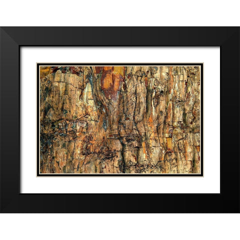 Bark Black Modern Wood Framed Art Print with Double Matting by Kravanja, Jure