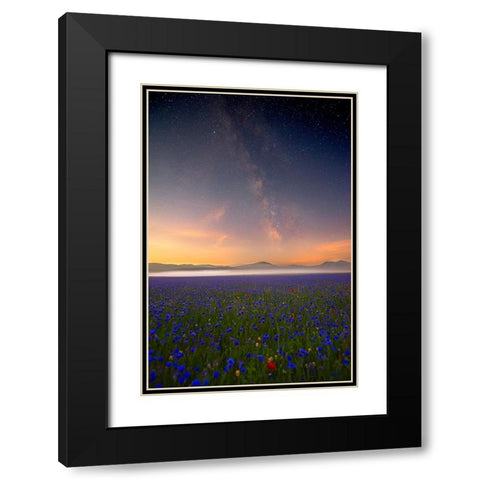 Night Flowers Black Modern Wood Framed Art Print with Double Matting by Marchegiani, Roberto