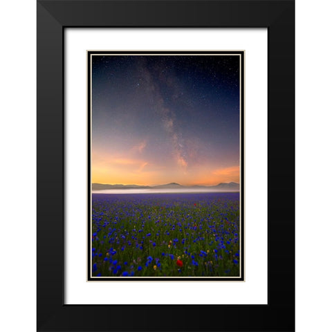 Night Flowers Black Modern Wood Framed Art Print with Double Matting by Marchegiani, Roberto