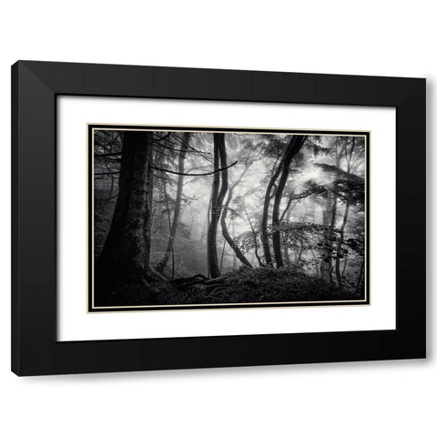 Mysterious Light Black Modern Wood Framed Art Print with Double Matting by Maier, Norbert