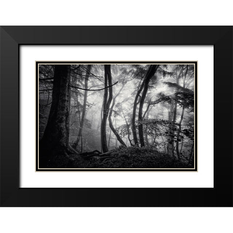 Mysterious Light Black Modern Wood Framed Art Print with Double Matting by Maier, Norbert