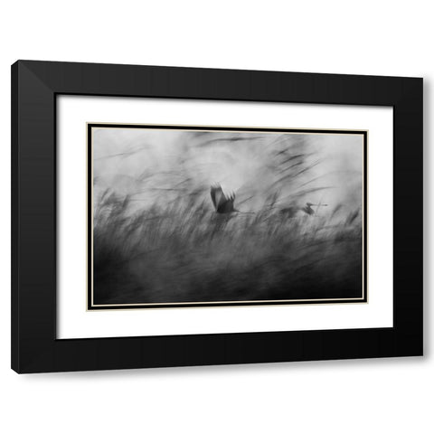 Out Of The Blue Black Modern Wood Framed Art Print with Double Matting by Segev, Elior