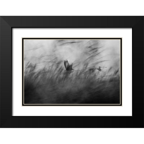 Out Of The Blue Black Modern Wood Framed Art Print with Double Matting by Segev, Elior