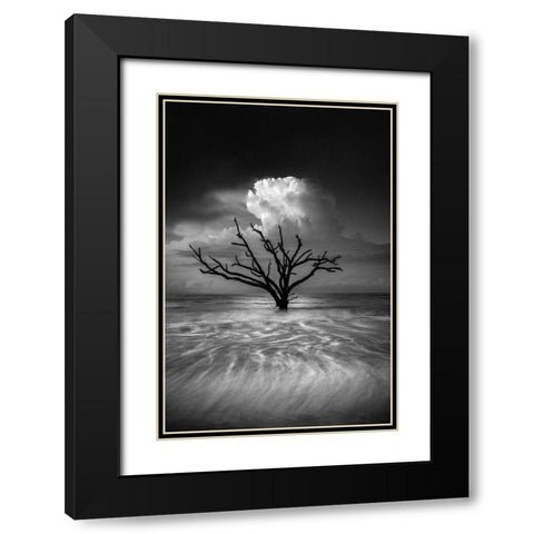 Oceanus Black Modern Wood Framed Art Print with Double Matting by Moore, Chris