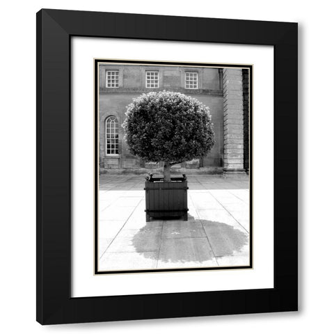 Architectural Detail, Blenheim Palace Black Modern Wood Framed Art Print with Double Matting by Blue, Cyril