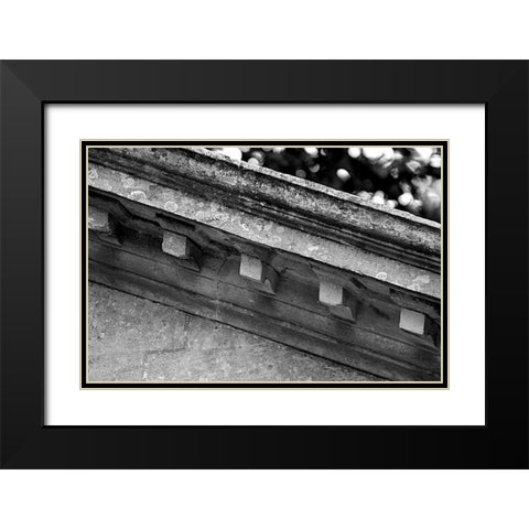 Architectural Detail, Blenheim Palace Black Modern Wood Framed Art Print with Double Matting by Blue, Cyril