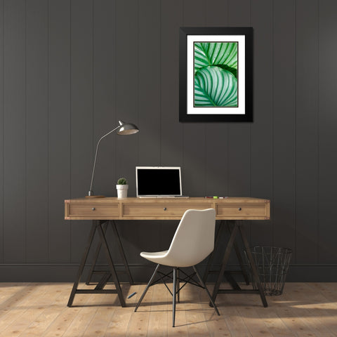 Tropical Leaf Black Modern Wood Framed Art Print with Double Matting by Blue, Cyril