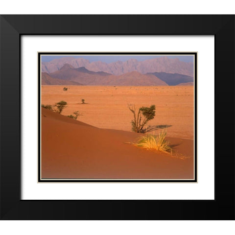 Grasses, Trees, Sand Dunes Sahara Black Modern Wood Framed Art Print with Double Matting by Blue, Cyril