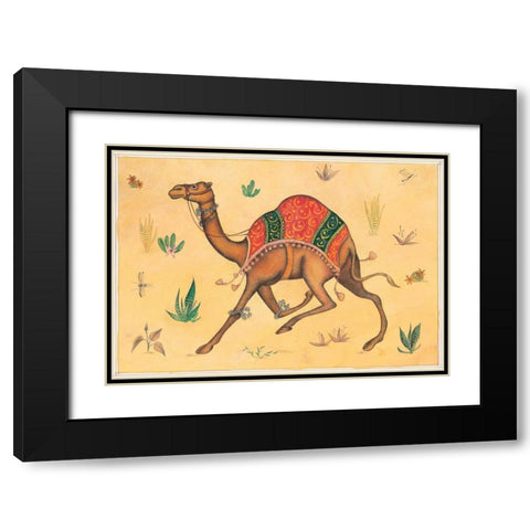 Camel-Indian Animals Black Modern Wood Framed Art Print with Double Matting by Gynn, Fran